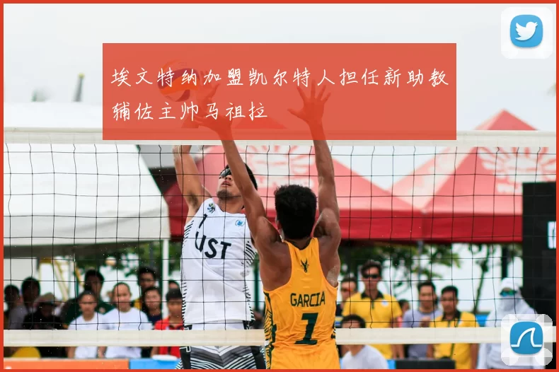 埃文特纳加盟凯尔特人担任新助教辅佐主帅马祖拉