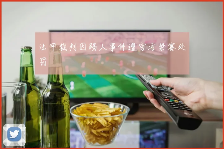 法甲裁判因踢人事件遭官方禁赛处罚