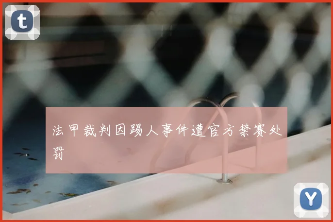 法甲裁判因踢人事件遭官方禁赛处罚